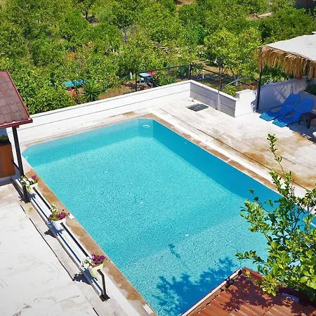 Likya Pansion Homestay